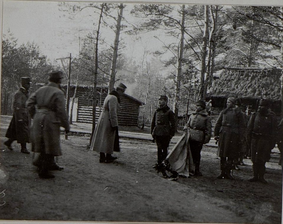 Inspizierung der 37.Honvedinfanteriedivision durch Erzherzog Karl, Februar 1916 (BildID 15456164)
