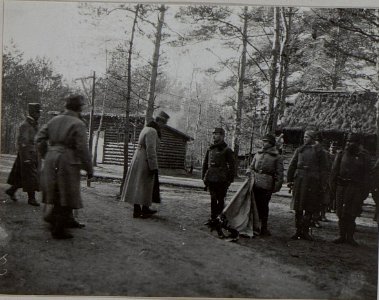 Inspizierung der 37.Honvedinfanteriedivision durch Erzherzog Karl, Februar 1916 (BildID 15456164)
