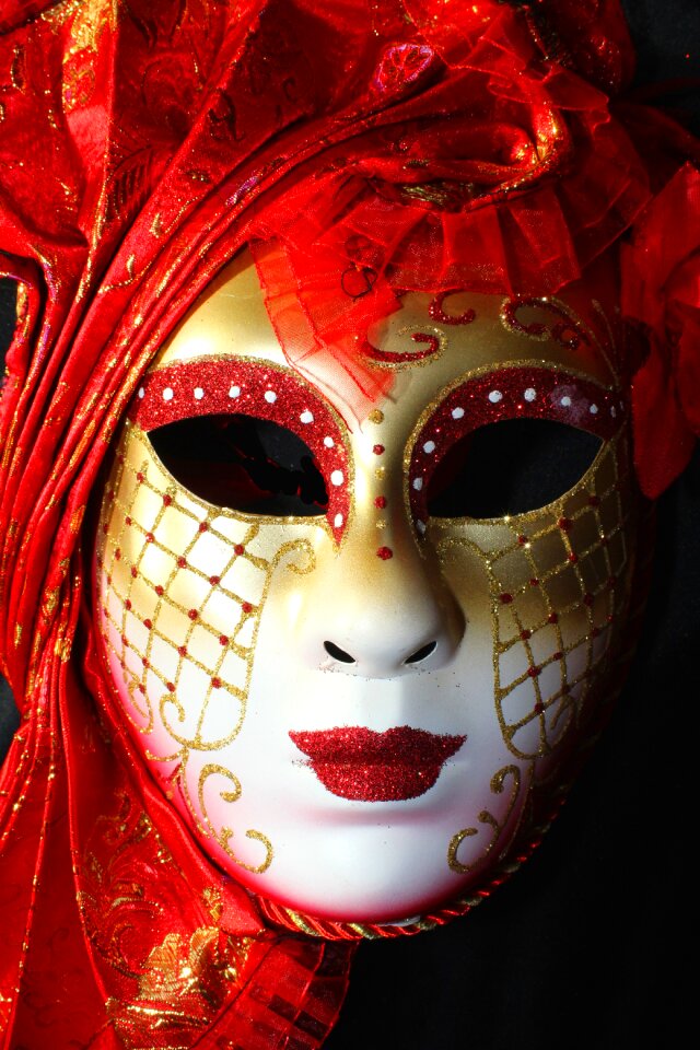 Venezia carnival costume