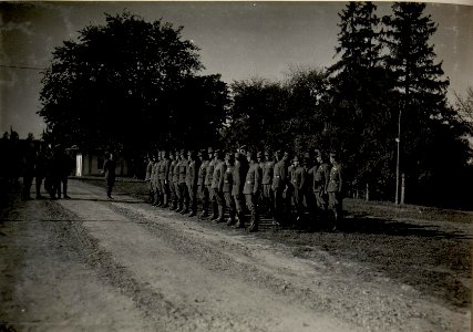 Inspizierung des XXV. Korps durch G. O. Böhm-Ermolli. (BildID 15533067)