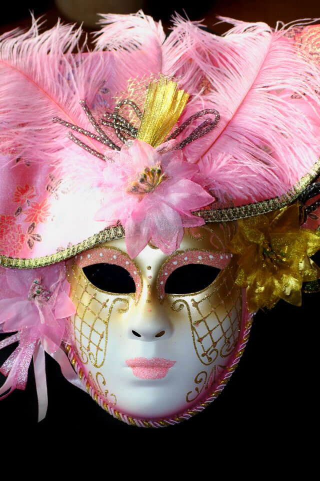 Venezia carnival costume