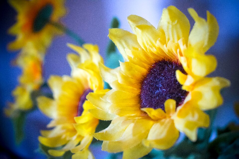 Artificial flowers yellow