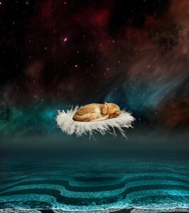 Starry sky paving stones feather