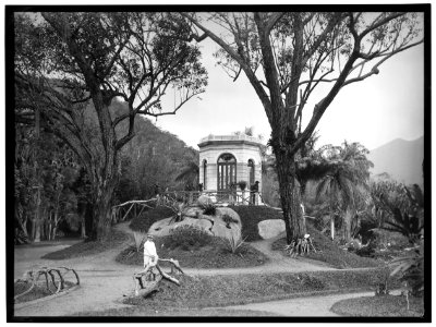 Interior do Jardim Botânico - 2