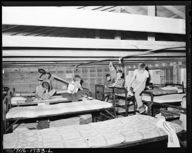 Interior of cottage for campers. Capacity of cottage is 22 bunks, using double deckers. Ordinarily about 18 to 20 are... - NARA - 540910 photo