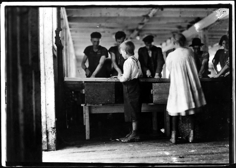 Interior of cutting shed. Young cutters at work, Clarence Goodell 8 years old, and Minnie Thomas, 9 years old. Photo... - NARA - 523451