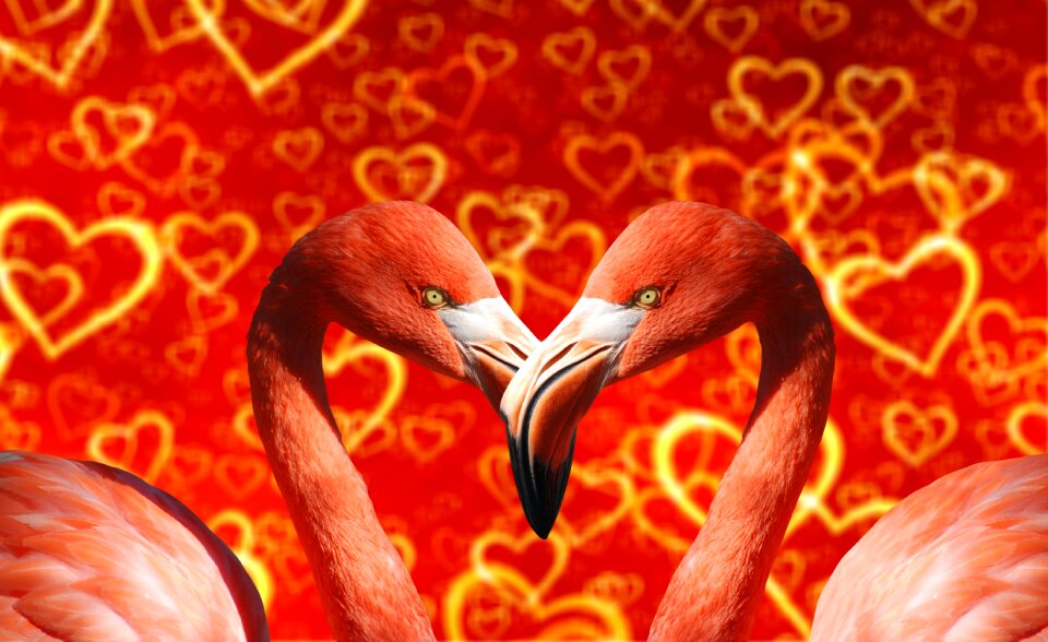 Love many background