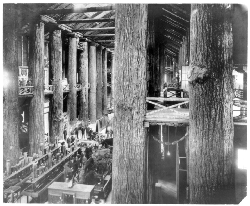 Interior of Forestry Bldg. at the Lewis and Clark Centennial, Portland, Ore., 1905. Displays; pillars of huge trees, stuffed animals LCCN2005679791