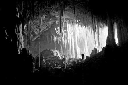 Interior Coves dels Hams