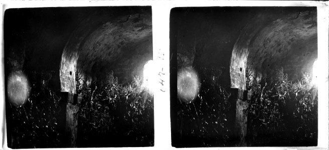 Interior d'una església en ruïnes (SaP 147 15)