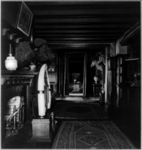 Interior of Sagamore Hill with fireplace, water buffalo head and two antelope heads LCCN92520595