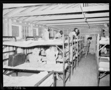Interior of one of the cottages used for housing campers. Girls cottages are on one side of the grounds with boy's on... - NARA - 540907