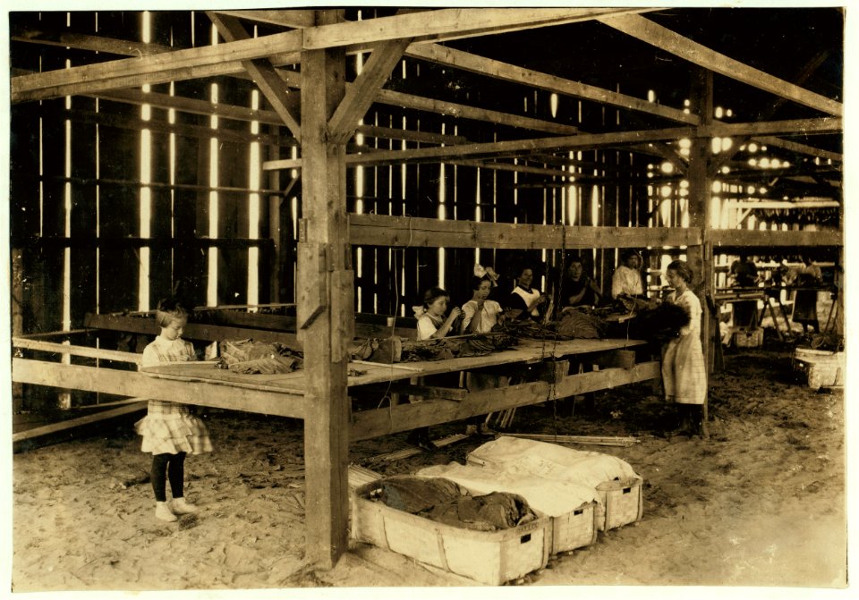 Interior of tobacco shed, Hawthorn Farm. Girls in foreground are 8, 9, and 10 years old. The 10 yr. old makes 50 cents a day. 12 workers on this farm are 8 to 14 years old, and about 15 are LOC nclc.00735