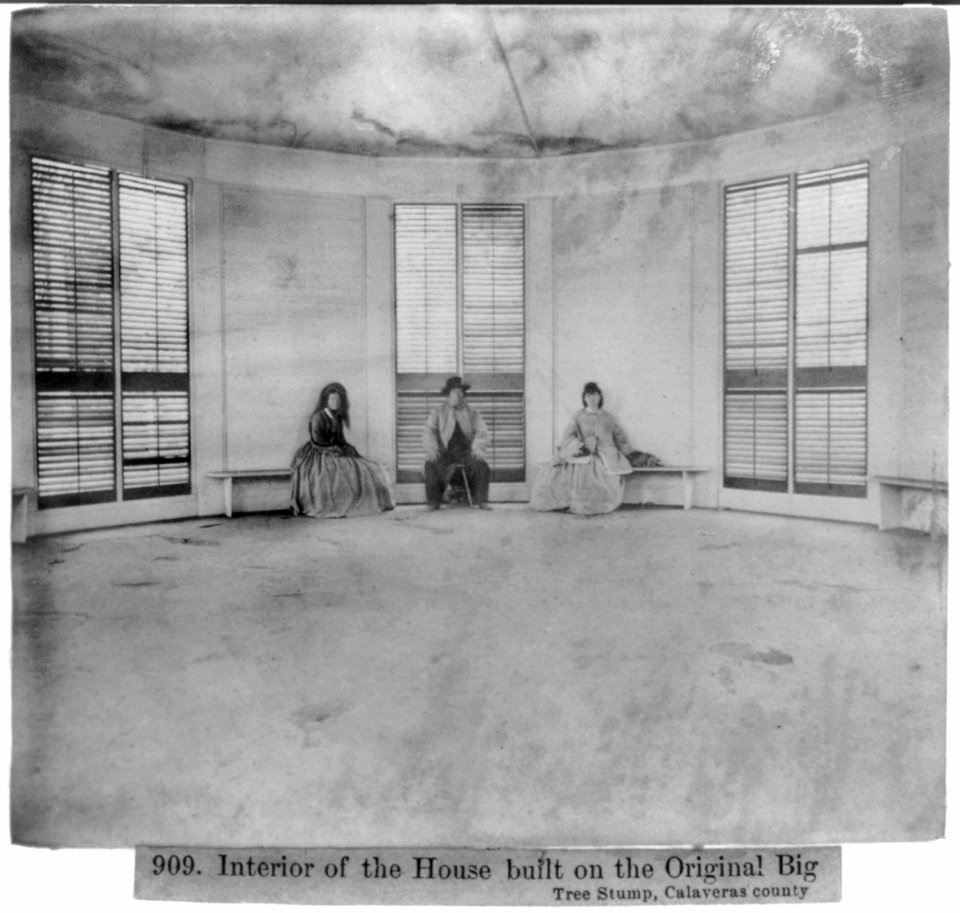 Interior of the house built on the Original Big Tree Stump, Calaveras County LCCN2002722031