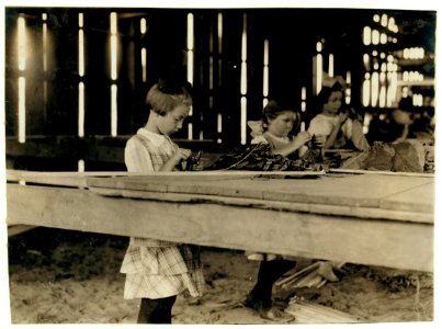 Interior of tobacco shed, Hawthorn Farm. Girls in foreground are 8, 9, and 10 years old. The 10 yr. old makes 50 cents a day. 12 workers on this farm are 8 to 14 years old, and about 15 are LOC nclc.00736