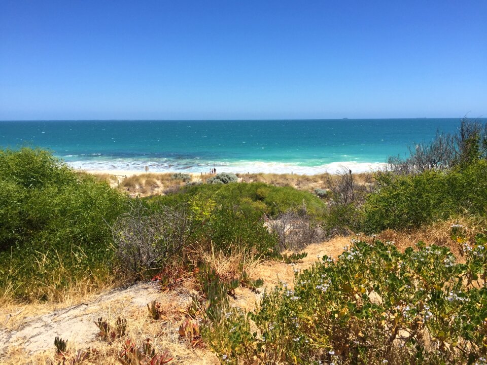 Beach australia ocean photo