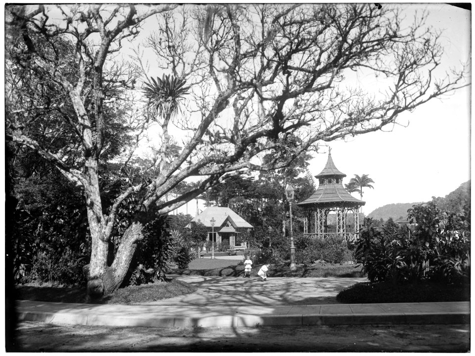 Interior do Jardim Botânico - 1
