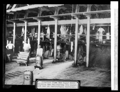 Interior views Raw Sugar Mill, showing men delivering the sugar, and men at centrifugal machines. LCCN2016824531