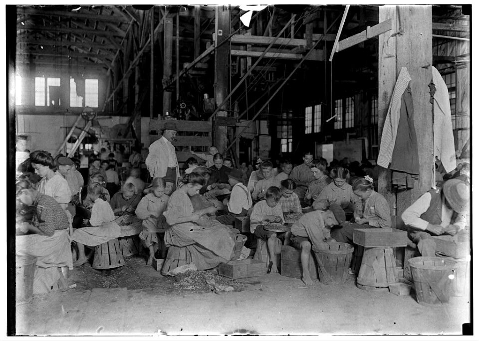 Interior of J. S. Farrand Packing Company, Baltimore, Md. Many tiny workers. Babies are held on laps of workers, or stowed away in empty boxes. LOC nclc.05423