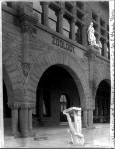 Inverted statue of L. Agassiz LCCN2013651564