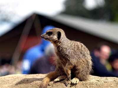 Wildlife zoo cute