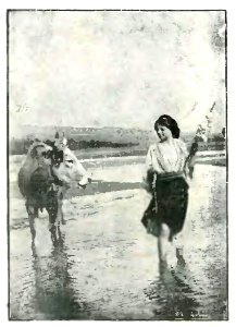 Iorga - L'arte popolare in romania, 1930 (page 102 crop)