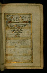Iranian - Text Page of Chapter 114 - Walters W575183B - Full Page