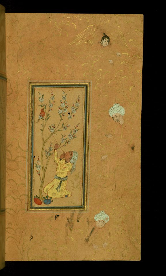 Iranian - Young Man Playing Flute with Singing Bird Perched in a Blossoming Tree - Walters W65324B - Full Page