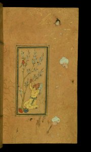 Iranian - Young Man Playing Flute with Singing Bird Perched in a Blossoming Tree - Walters W65324B - Full Page