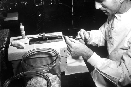 Intravenous injection to mice