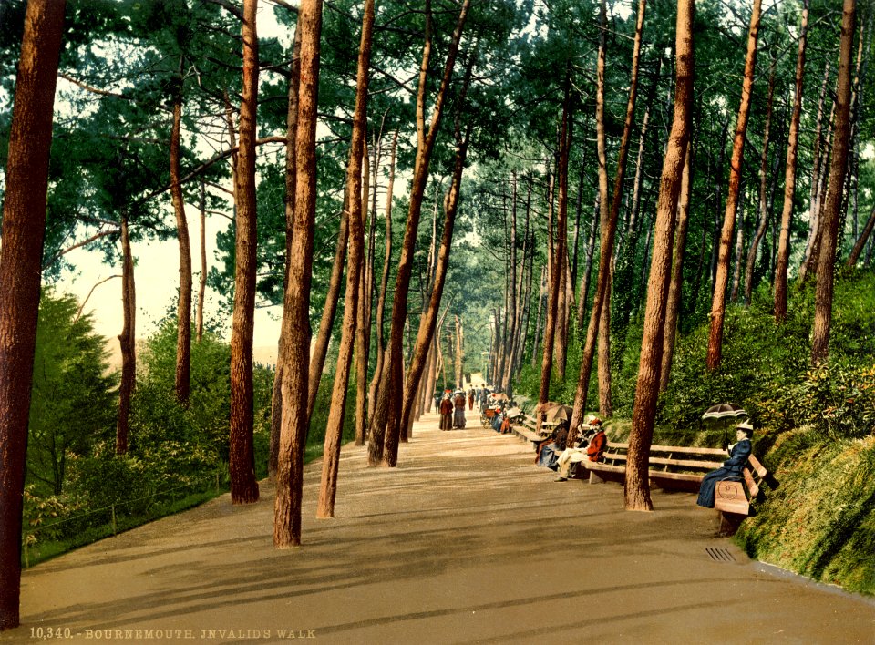 Invalids' walk, Bournemouth, Dorset, England, 1890s