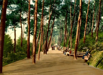 Invalids' walk, Bournemouth, Dorset, England, 1890s