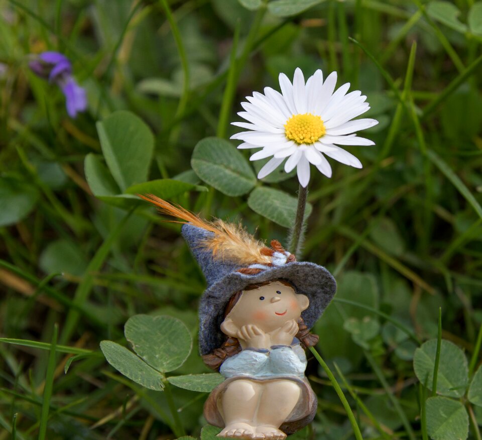 Figure spring meadow