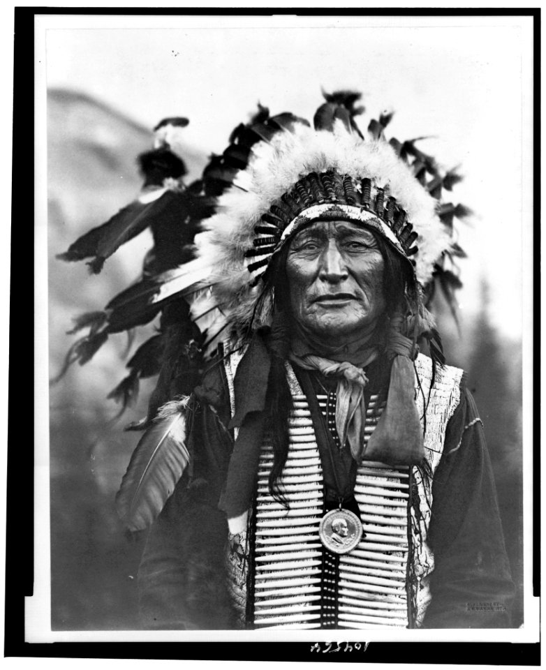 Iron Shell, Lakota, Sioux tribe, half-length portrait, facing front in traditional clothing LCCN91481278