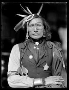 Iron White Man, Sioux American Indian LCCN2006679585