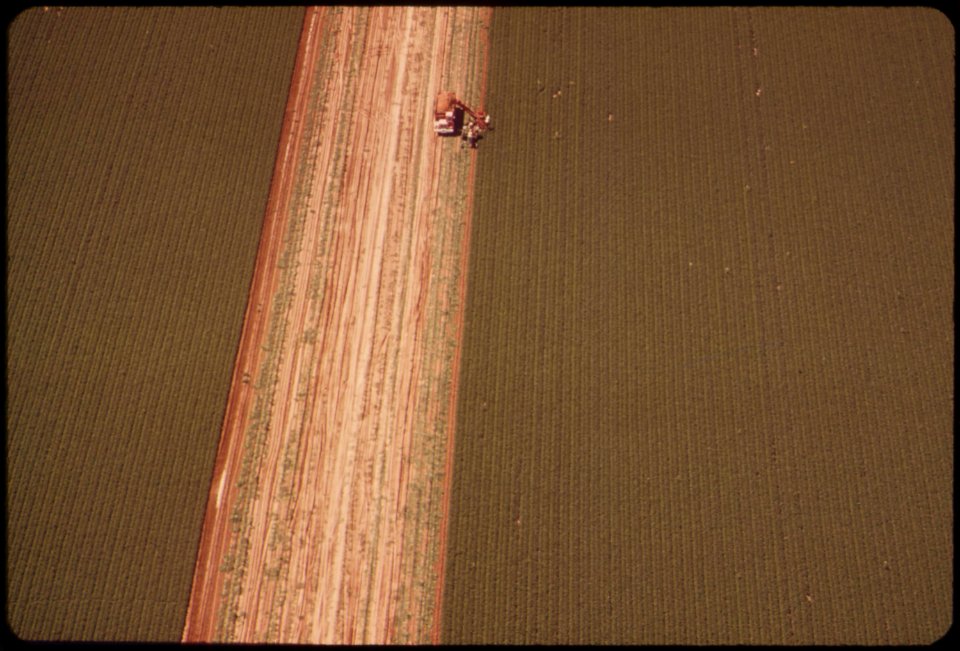 Irrigated-field-of-the-imperial-valley-may-1972 7136425423 o
