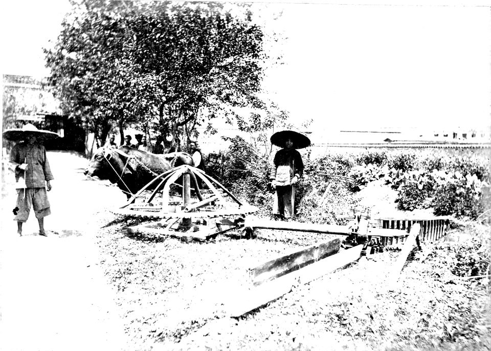 Irrigation