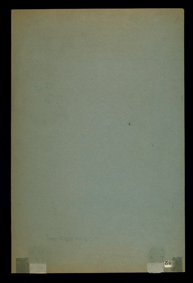 Iranian - A Youth with a Falcon (Back) - Walters W682B - Full Page