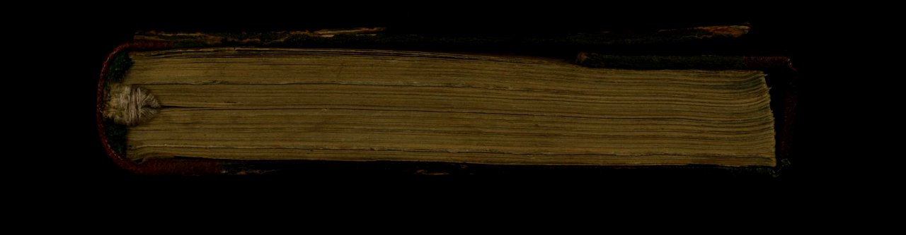 Iranian - Binding from Collection of Poems (divan) - Walters W629binding - Top Exterior Closed
