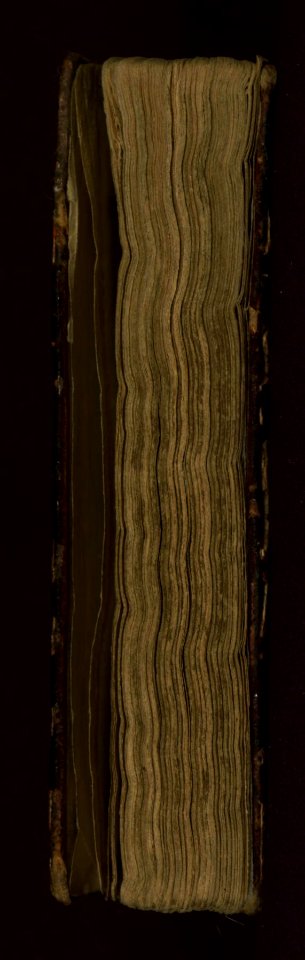 Iranian - Qur'an - Walters W575