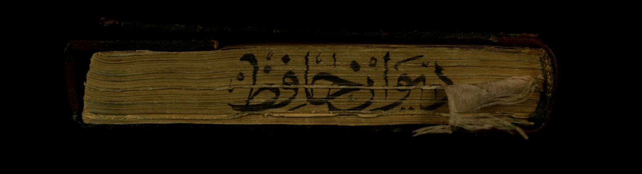 Iranian - Binding from Collection of Poems (divan) - Walters W629binding - Bottom Exterior Closed