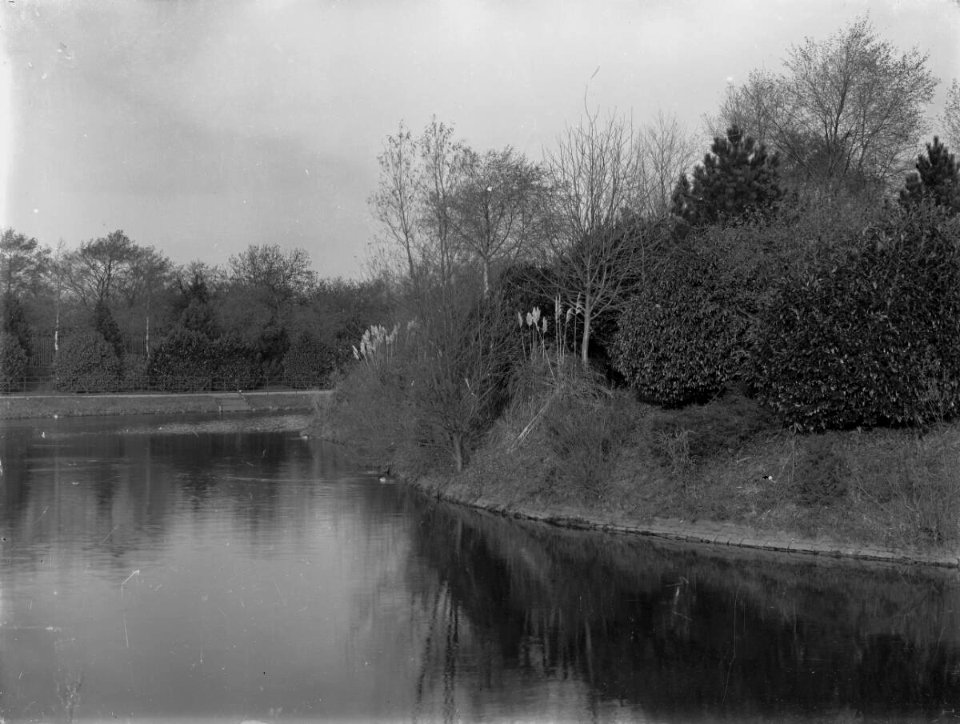 Island and Walk, Roath Park (4641636)