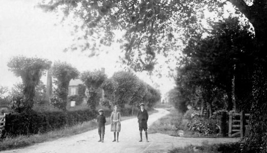 Irby in the Marsh, Pinfold Lane - pre WWI
