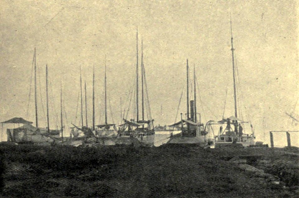Island Schooners at Papeete, by Clement Lindley Wragge
