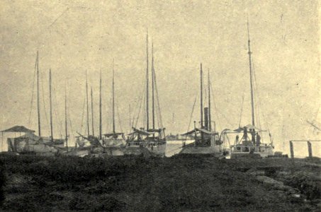 Island Schooners at Papeete, by Clement Lindley Wragge photo