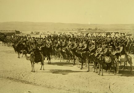 Israel in World War I - Ottoman cavalry unit mounted on camels H OP 046 photo