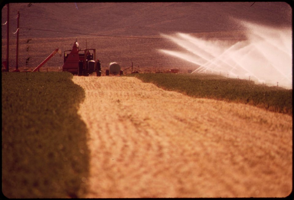 Irrigating-an-alfalfa-field-on-experimental-farm-operated-by-epas-las-vegas-national-research-center-may-1972 7152631787 o