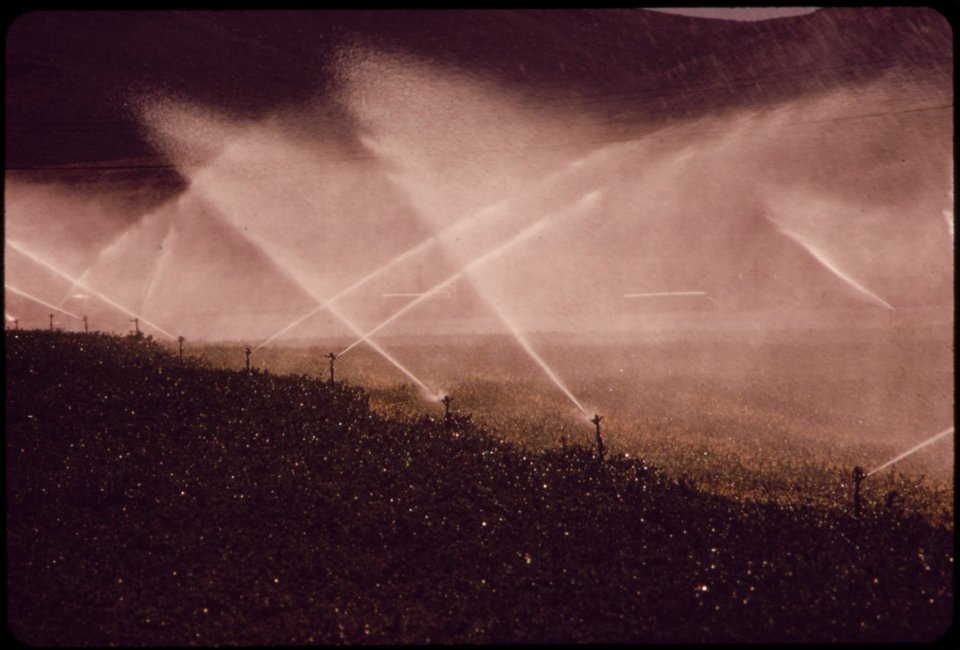 Irrigation-on-experimental-farm-operated-by-epas-las-vegas-national-research-center-may-1972 6990322862 o