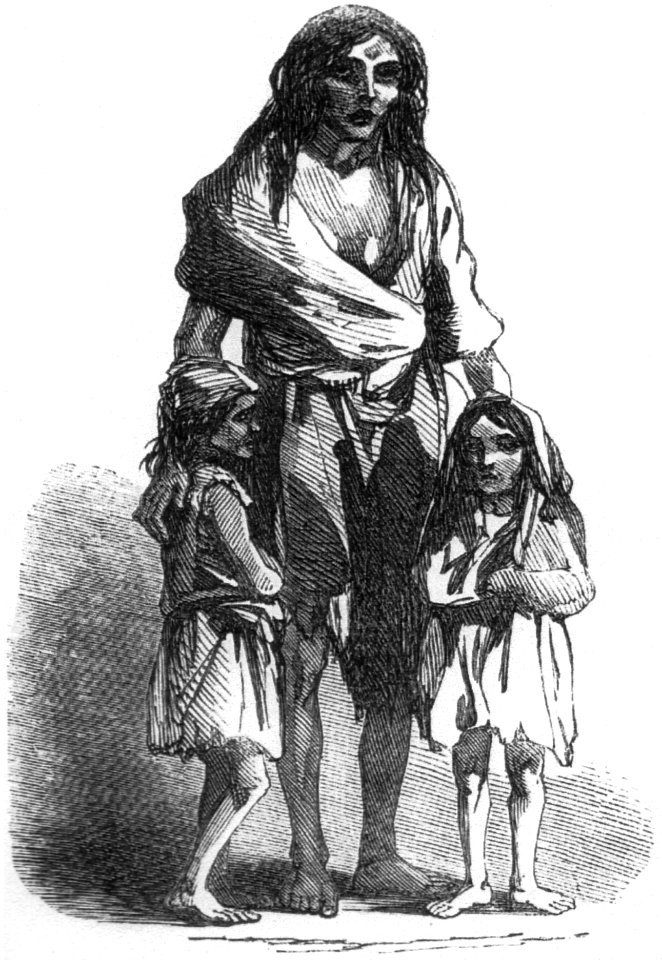 Irish potato famine Bridget O'Donnel