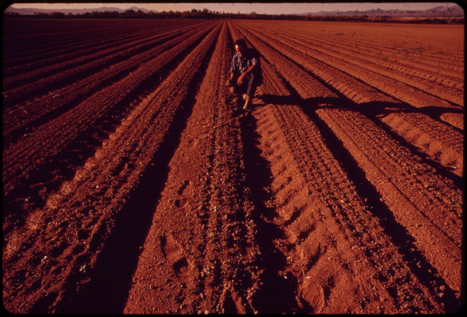 Irrigated-by-water-from-the-colorado-river-newly-planted-cotton-field-near-needles-will-produce-fast-results-in-the-hot-desert-climate-may-1972 7006550052 o